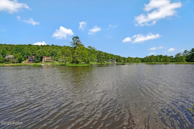 29 Tanglewood Ln, Lake Ariel, PA 18436 - water view featuring a forest