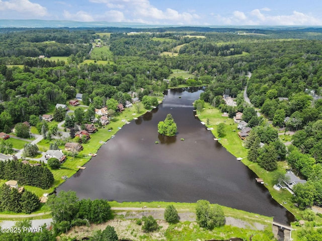 29 Tanglewood Ln, Lake Ariel, PA 18436 - bird's eye view of a large body of water and a forest