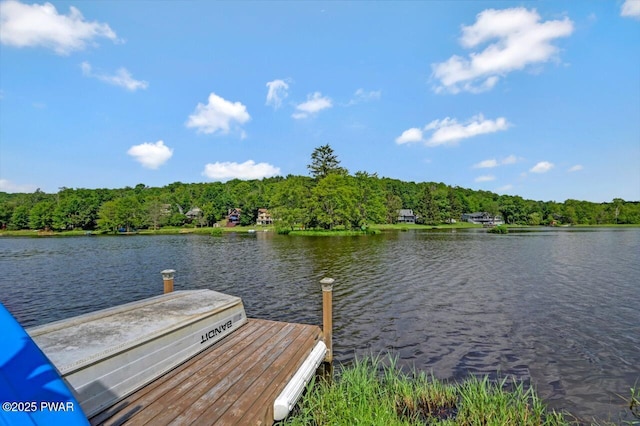 29 Tanglewood Ln, Lake Ariel, PA 18436 - dock area with a water view and a forest view