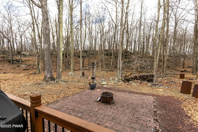 view of yard featuring a patio area and an outdoor fire pit