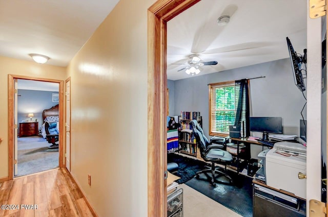 office space with ceiling fan and light hardwood / wood-style flooring