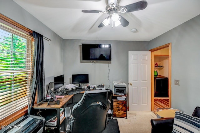 carpeted home office featuring ceiling fan