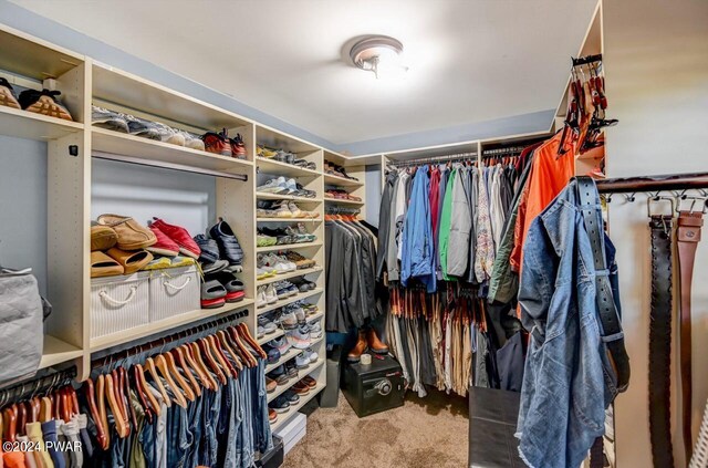 walk in closet featuring carpet