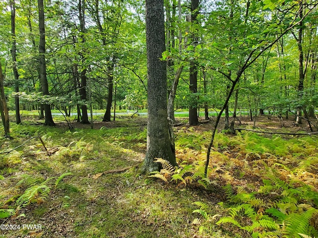 Listing photo 2 for LOT201 Tink Wig Dr, Hawley PA 18428