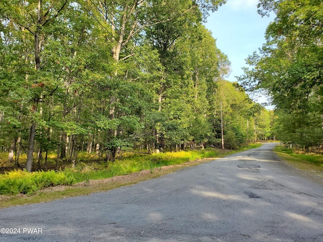 Listing photo 3 for LOT201 Tink Wig Dr, Hawley PA 18428