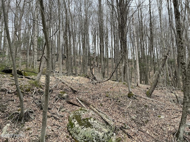 LOT7 Game Trail Dr, Greentown, PA 18426