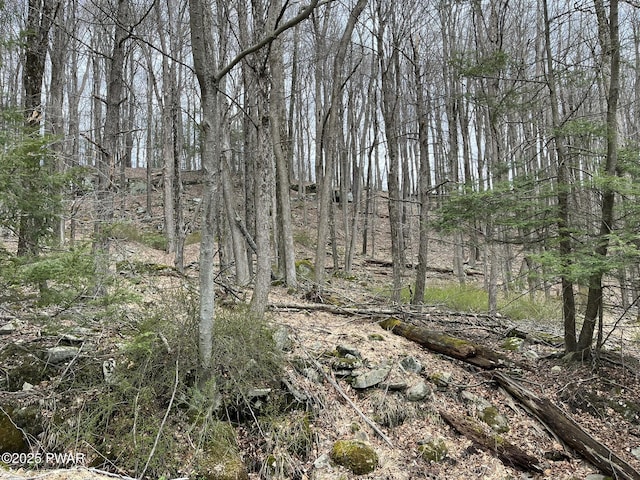 LOT7 Game Trail Dr, Greentown, PA 18426