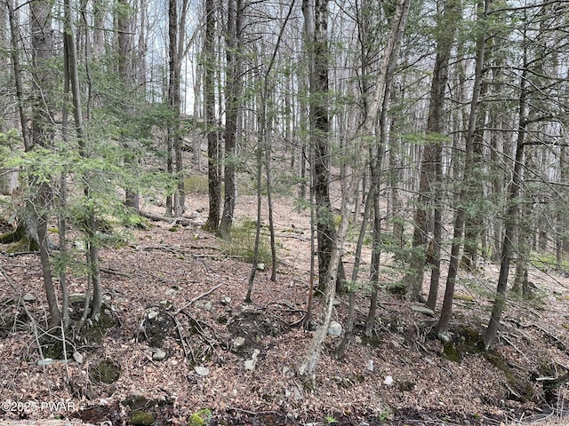 LOT7 Game Trail Dr, Greentown, PA 18426