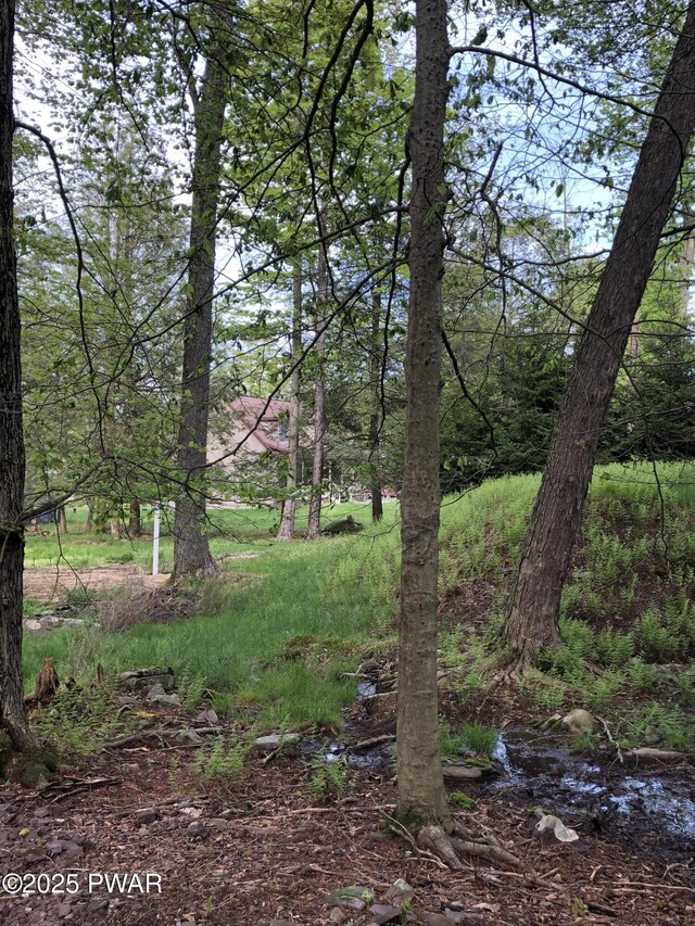 16 Fern Ln, Gouldsboro, PA 18424 - photo 9