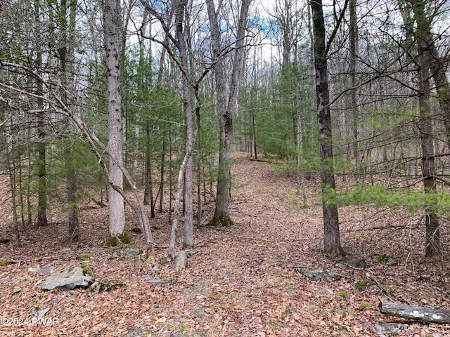 Listing photo 2 for LOT8 Woodledge E Lake Dr, Hawley PA 18428