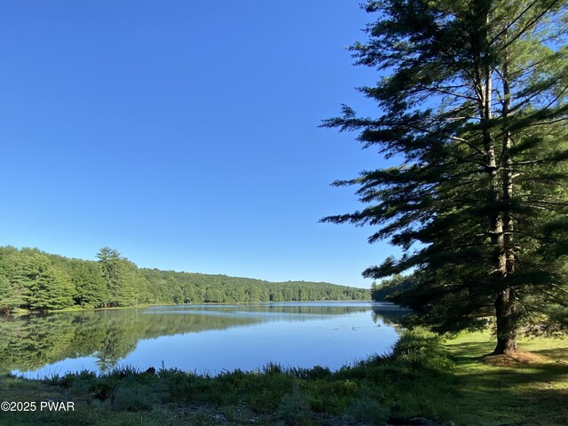 20 Chuck Foster Dr, Hawley, PA 18428 - water view with a heavily wooded area