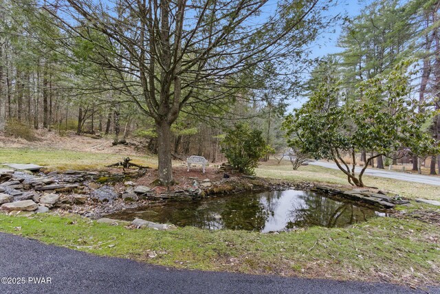 20 Chuck Foster Dr, Hawley, PA 18428 - water view