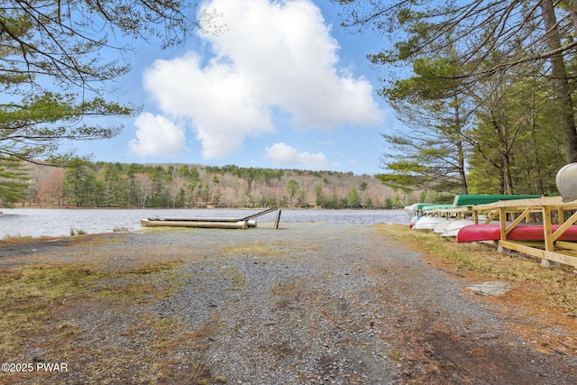 20 Chuck Foster Dr, Hawley, PA 18428 - view of yard with a boat ramp, a view of trees, a water view, and a boat dock