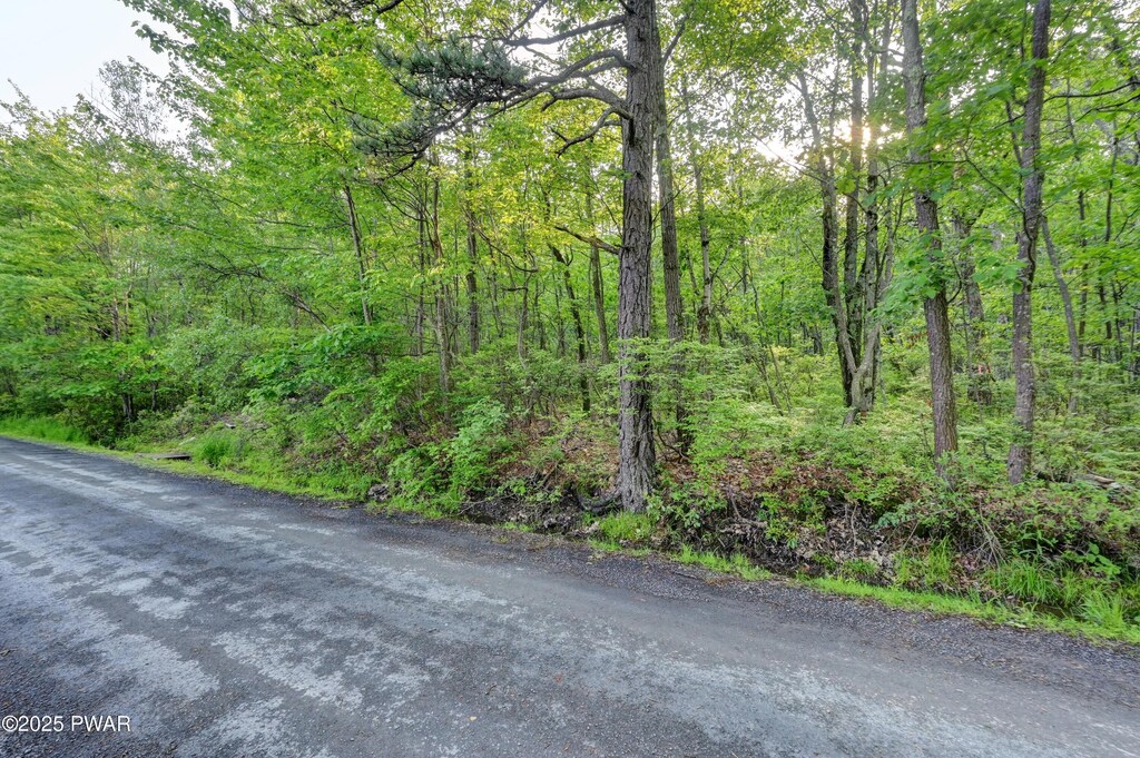 W Shore Dr, Jefferson Township, PA 18436 - photo 1