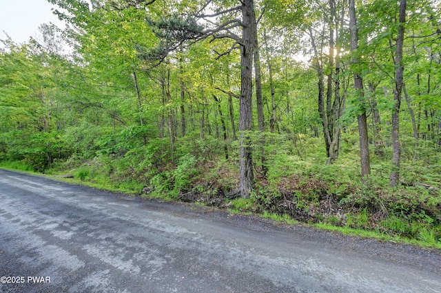 W Shore Dr, Jefferson Township, PA 18436 - photo 1