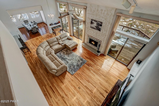 living room featuring wood-type flooring and a fireplace