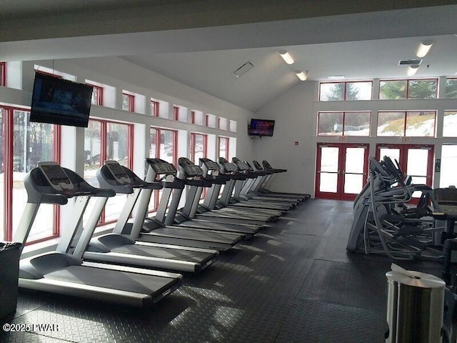 workout area featuring carpet flooring, vaulted ceiling, a healthy amount of sunlight, and french doors