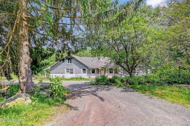 116 Daniels Rd, Hawley, PA 18428 - photo 9
