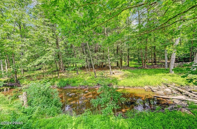 116 Daniels Rd, Hawley, PA 18428 - photo 104