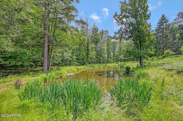 view of landscape with a water view