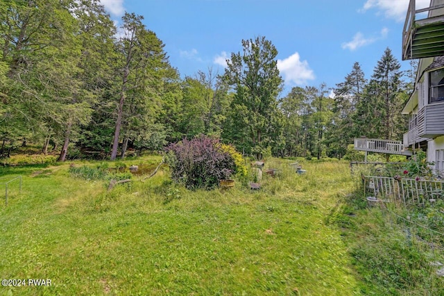 116 Daniels Rd, Hawley, PA 18428 - photo 98