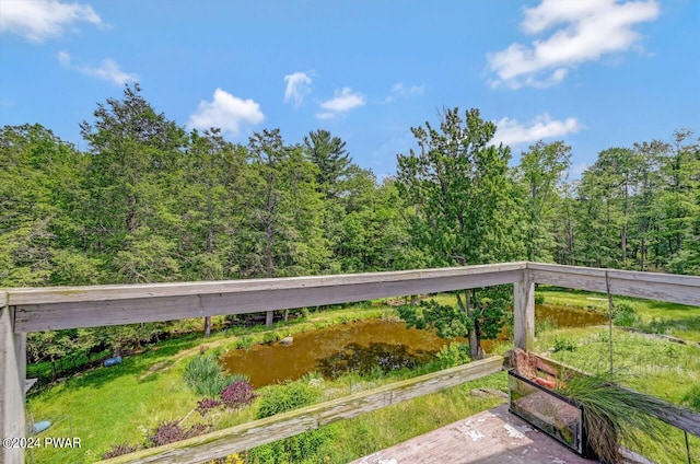 116 Daniels Rd, Hawley, PA 18428 - photo 73