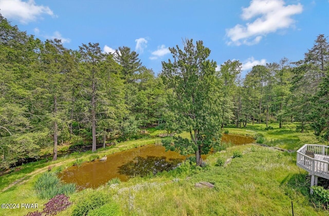 view of yard with a water view