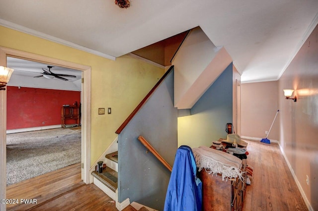 stairway featuring hardwood / wood-style flooring, ceiling fan, and ornamental molding