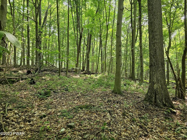  - photo 24