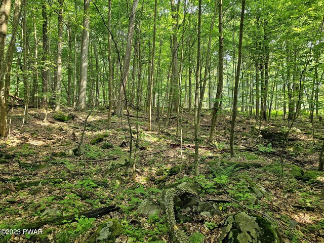  - photo 12