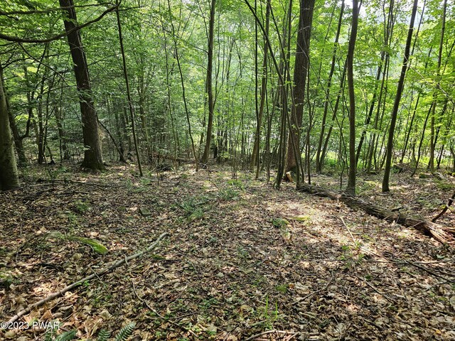  - photo 14