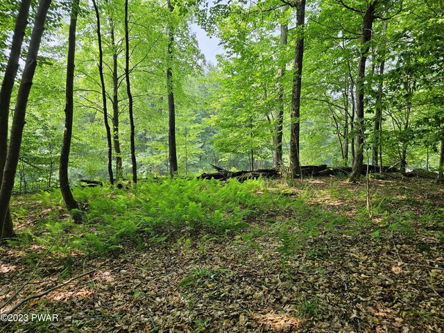  - photo 18