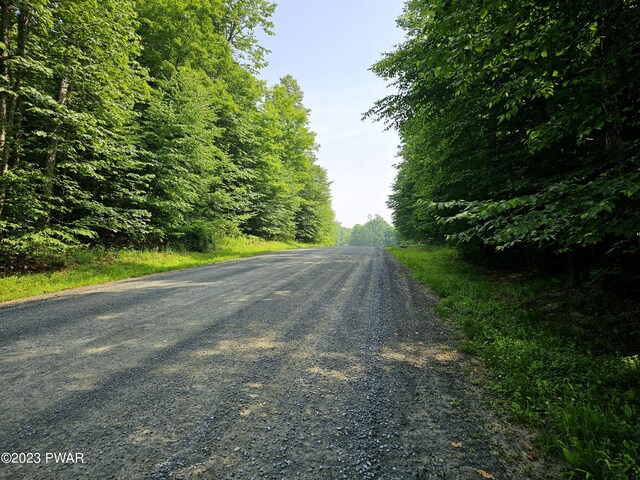 - photo 33