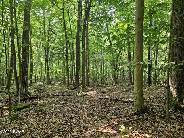  - photo 5