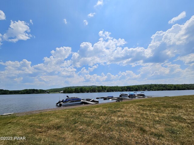  - photo 36