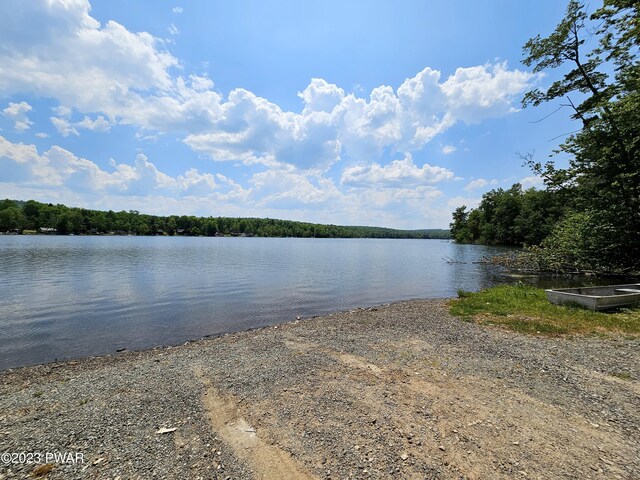  - photo 38
