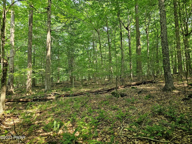  - photo 22