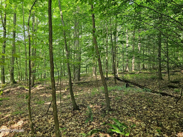 - photo 21