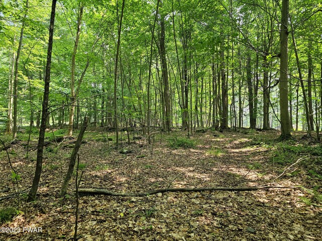  - photo 26
