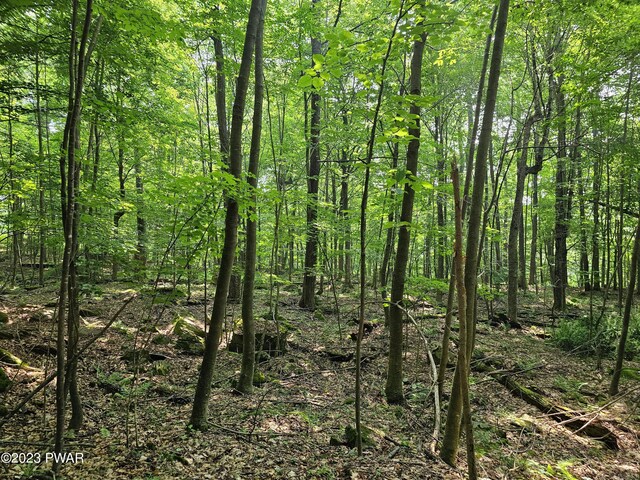  - photo 9