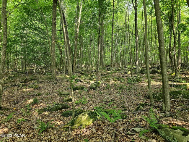  - photo 20