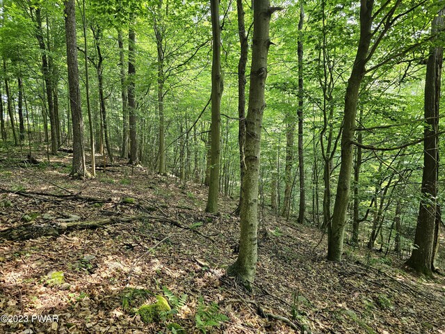  - photo 13