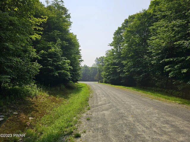  - photo 30