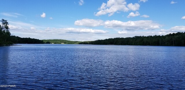  - photo 53