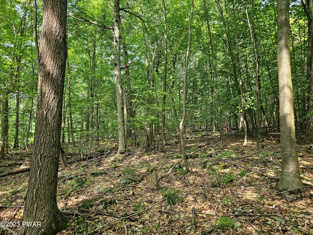  - photo 16