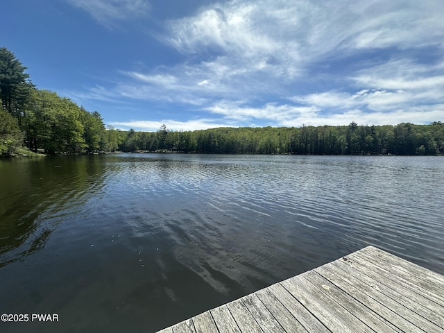 132 Rosewood Dr, Greentown, PA 18426 - photo 111