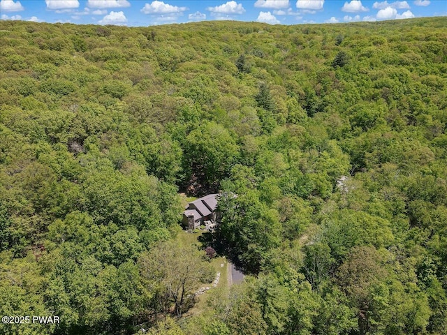 132 Rosewood Dr, Greentown, PA 18426 - photo 88
