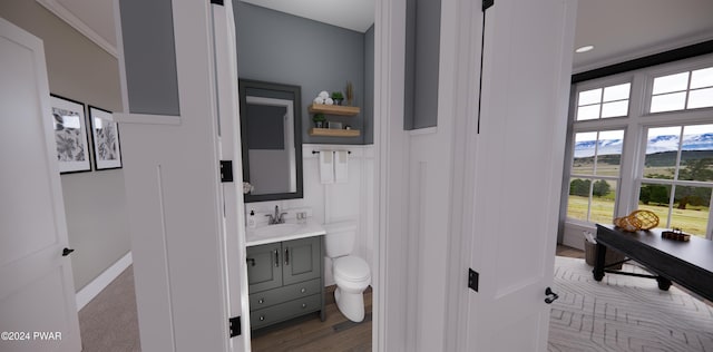 bathroom featuring vanity, toilet, and wood-type flooring