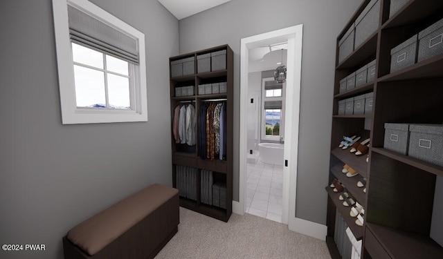 walk in closet featuring light colored carpet