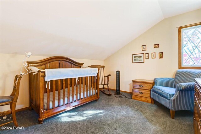 carpeted bedroom featuring lofted ceiling